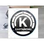 Eş Zamanlı Çoklu Frekans Metal Dedektörü