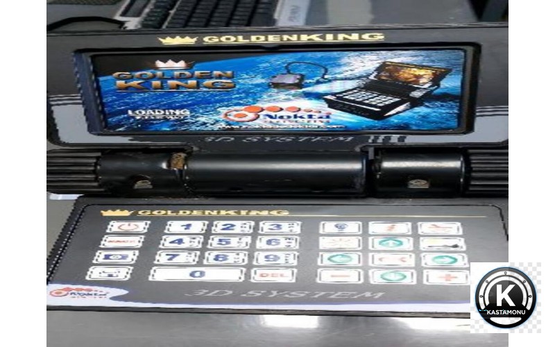 Nokta Golden King Derin Dedektör (2. El) - 2 Başlıklı