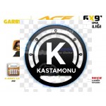 Garrett Ace 250 metal dedektörü satılık fiyatları