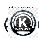 Via Gold A9 alan tarama özellikli altın dedektörü